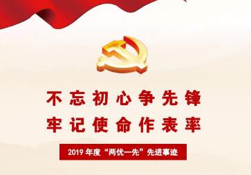 七一表彰丨2019年度“兩優一先”先進事迹集錦